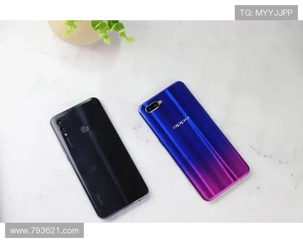 如何在K1体育官网上注册并开始投注